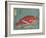 Red Snapper and Halfbeak, 1830-1844-Utagawa Hiroshige-Framed Giclee Print