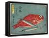 Red Snapper and Halfbeak, 1830-1844-Utagawa Hiroshige-Framed Stretched Canvas