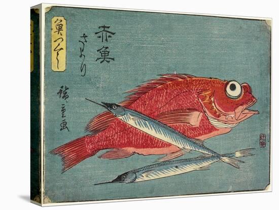 Red Snapper and Halfbeak, 1830-1844-Utagawa Hiroshige-Stretched Canvas