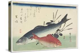 Red Snapper, Sea Bass and Perilla, C. 1840-Utagawa Hiroshige-Stretched Canvas