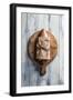 Red Snapper Wrapped in Chinese Newspaper on Wooden Background-Gary Jones-Framed Photographic Print