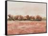 Red Soil I-Tim OToole-Framed Stretched Canvas