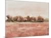 Red Soil I-Tim OToole-Mounted Art Print