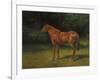 Red Sorrel-Rosa Bonheur-Framed Giclee Print