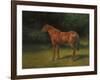 Red Sorrel-Rosa Bonheur-Framed Giclee Print