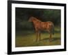 Red Sorrel-Rosa Bonheur-Framed Giclee Print