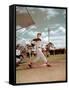 Red Sox Baseball Star Ted Williams at Bat-Frank Scherschel-Framed Stretched Canvas