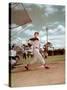 Red Sox Baseball Star Ted Williams at Bat-Frank Scherschel-Stretched Canvas