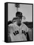 Red Sox Player Ted Williams Suited Up for Playing Baseball-Ralph Morse-Framed Stretched Canvas