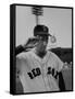 Red Sox Player Ted Williams Suited Up for Playing Baseball-Ralph Morse-Framed Stretched Canvas