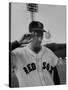 Red Sox Player Ted Williams Suited Up for Playing Baseball-Ralph Morse-Stretched Canvas