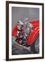 Red Sp.25 Alvis-Peter Miller-Framed Giclee Print