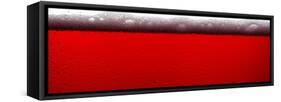 Red Sparkling Wine-Steve Gadomski-Framed Stretched Canvas