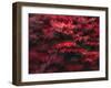 Red Splash-Art Wolfe-Framed Photographic Print