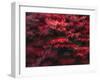 Red Splash-Art Wolfe-Framed Photographic Print