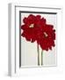 Red Splendor 2-Soraya Chemaly-Framed Giclee Print