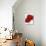 Red Splendor I-Soraya Chemaly-Premium Giclee Print displayed on a wall