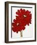 Red Splendor I-Soraya Chemaly-Framed Giclee Print