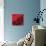 Red Sponge Fern-Ruth Palmer-Art Print displayed on a wall