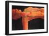 Red Spot-Graham Dean-Framed Giclee Print