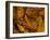 Red-Spotted Newt or Eastern Newt, Salamander, Bennington, Vermont, USA-Joe Restuccia III-Framed Photographic Print