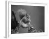 Red Squirrel Balancing on Pine Stump, Norway-Niall Benvie-Framed Photographic Print