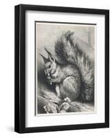 Red Squirrel Eating a Nut-Harrison Weir-Framed Photographic Print