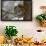 Red squirrel eating pine cones, Harriman SP, Idaho, USA-Scott T^ Smith-Framed Photographic Print displayed on a wall