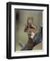 Red Squirrel, Finland, Scandinavia, Europe-Murray Louise-Framed Photographic Print