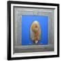 Red Squirrel, L'Acrobata-Tim Hayward-Framed Giclee Print