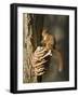 Red Squirrel on Bracket Fungus, Cairngorms, Scotland, UK-Andy Sands-Framed Photographic Print
