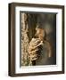 Red Squirrel on Bracket Fungus, Cairngorms, Scotland, UK-Andy Sands-Framed Photographic Print
