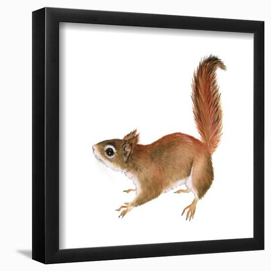 Red Squirrel (Sciurus Vulgaris), Mammals-Encyclopaedia Britannica-Framed Poster