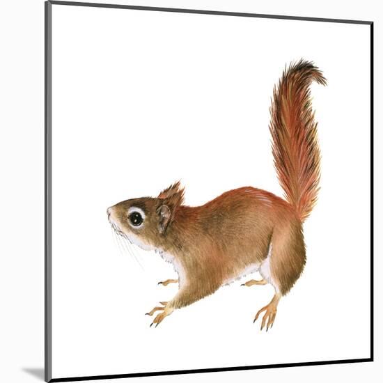 Red Squirrel (Sciurus Vulgaris), Mammals-Encyclopaedia Britannica-Mounted Poster