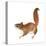 Red Squirrel (Sciurus Vulgaris), Mammals-Encyclopaedia Britannica-Stretched Canvas