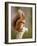 Red Squirrel, Scottish Highlands, Scotland, United Kingdom, Europe-Karen Deakin-Framed Photographic Print