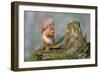 Red Squirrel Sitting on a Old Tree Stump Looking Forward-Trevor Hunter-Framed Photographic Print