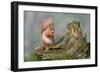 Red Squirrel Sitting on a Old Tree Stump Looking Forward-Trevor Hunter-Framed Photographic Print