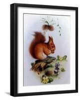 Red Squirrel with Primroses and Violets-Edward Julius Detmold-Framed Giclee Print