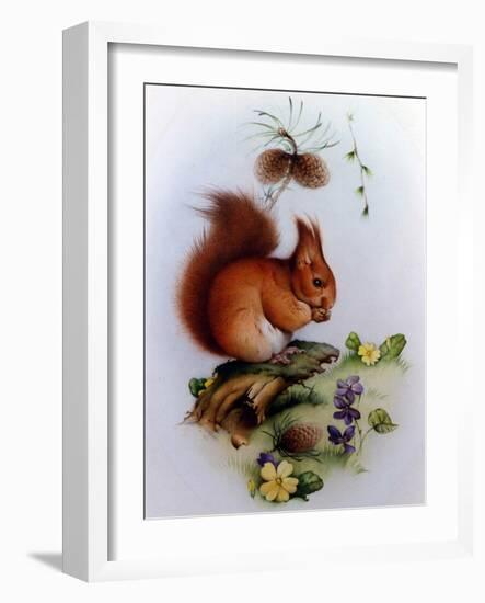 Red Squirrel with Primroses and Violets-Edward Julius Detmold-Framed Giclee Print