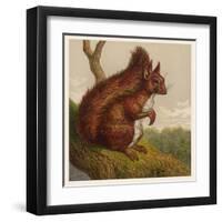 Red Squirrel-null-Framed Art Print