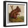 Red Squirrel-null-Framed Art Print