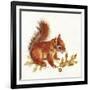 Red Squirrel-Peggy Harris-Framed Giclee Print