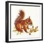 Red Squirrel-Peggy Harris-Framed Giclee Print