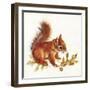 Red Squirrel-Peggy Harris-Framed Giclee Print