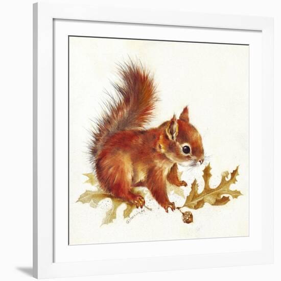 Red Squirrel-Peggy Harris-Framed Giclee Print