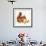 Red Squirrel-Peggy Harris-Framed Giclee Print displayed on a wall