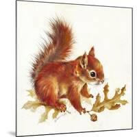 Red Squirrel-Peggy Harris-Mounted Giclee Print