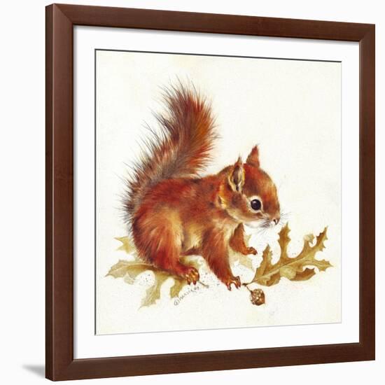 Red Squirrel-Peggy Harris-Framed Giclee Print