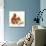 Red Squirrel-Peggy Harris-Stretched Canvas displayed on a wall